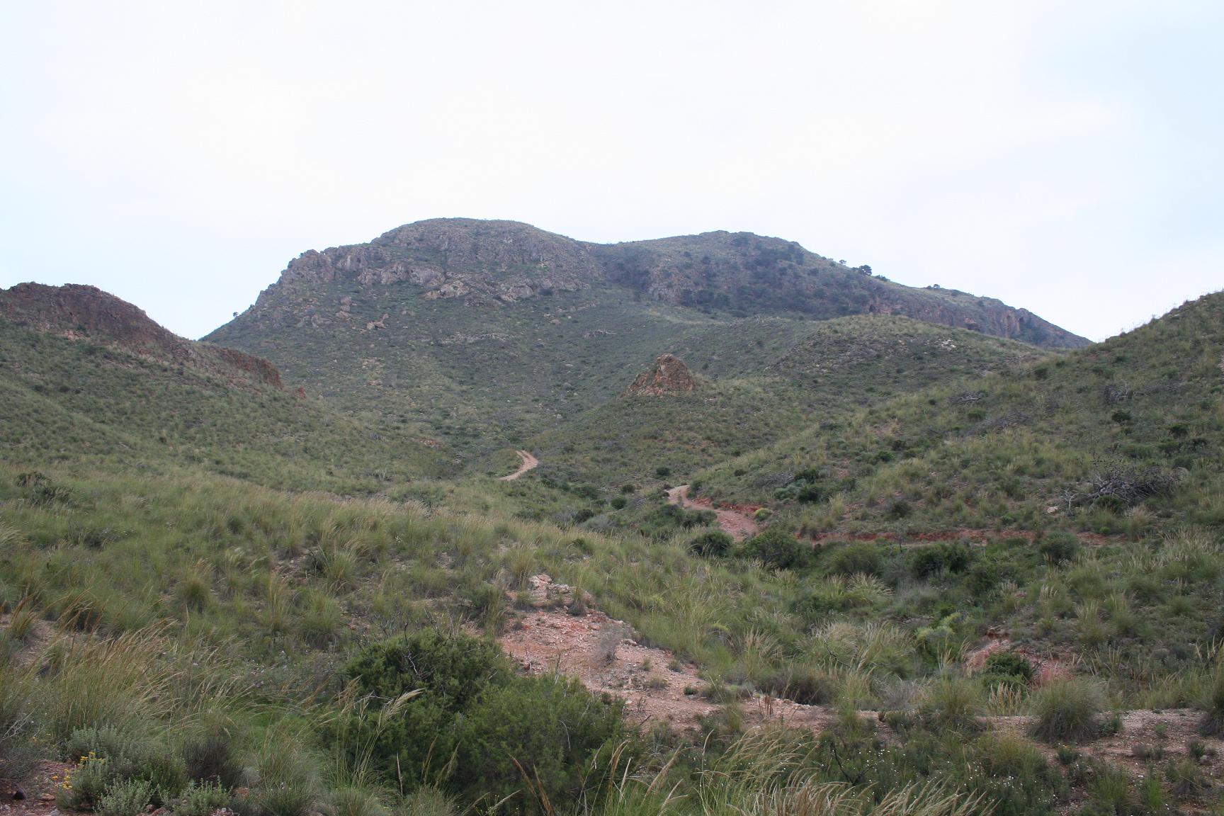 El Cerro de los Pinos